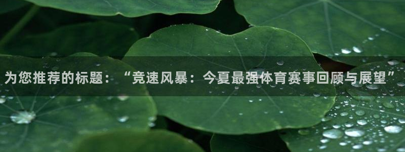 超凡国际app登录入口：为您推荐的标题：“竞速风暴：今夏最强体育赛事回顾与展望”
