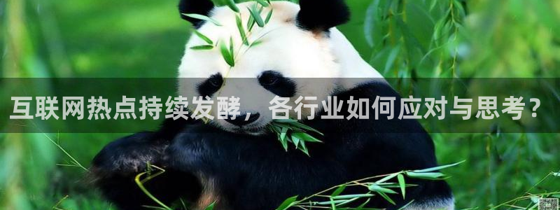 超凡国际电子pg网站：互联网热点持续发酵，各行业如何应对与思考？
